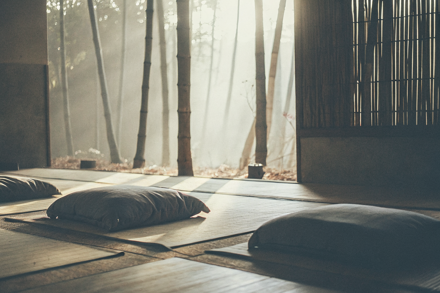 Forest Bathing (Tắm rừng)