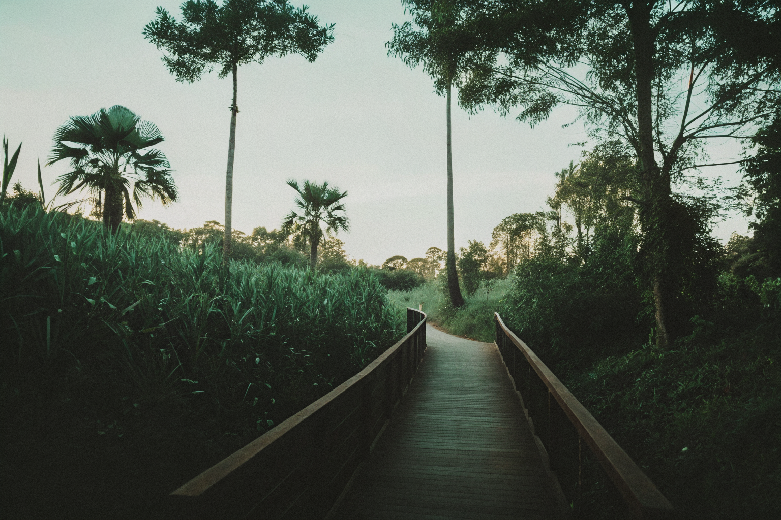 Vé vào cổng Safari Walk